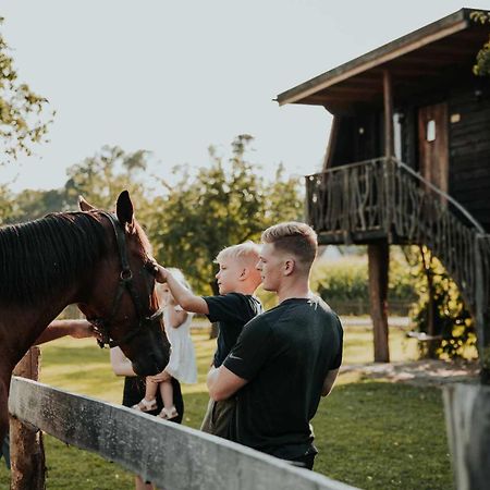 Hotel Treehouse Drevesna Hiska Strkovo Gnezdo Ranc Jures Ljutomer Exteriér fotografie