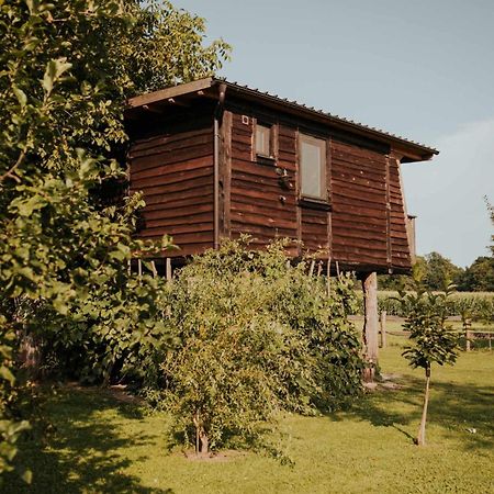 Hotel Treehouse Drevesna Hiska Strkovo Gnezdo Ranc Jures Ljutomer Exteriér fotografie