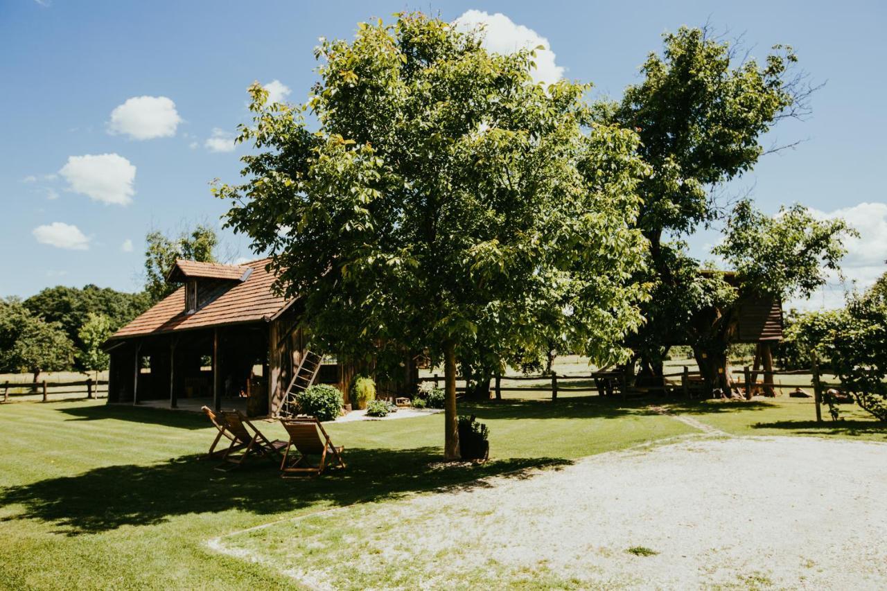 Hotel Treehouse Drevesna Hiska Strkovo Gnezdo Ranc Jures Ljutomer Exteriér fotografie