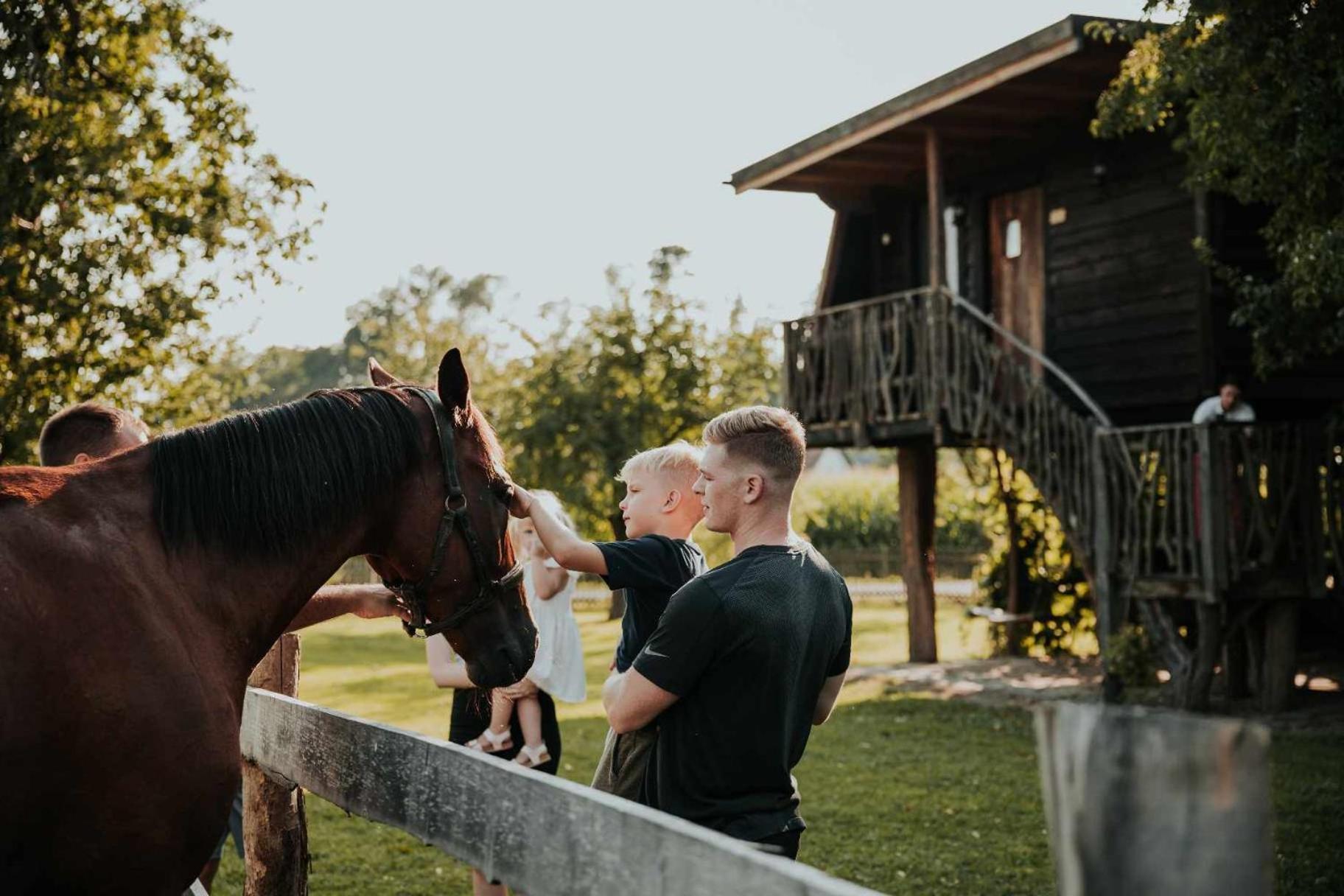 Hotel Treehouse Drevesna Hiska Strkovo Gnezdo Ranc Jures Ljutomer Exteriér fotografie