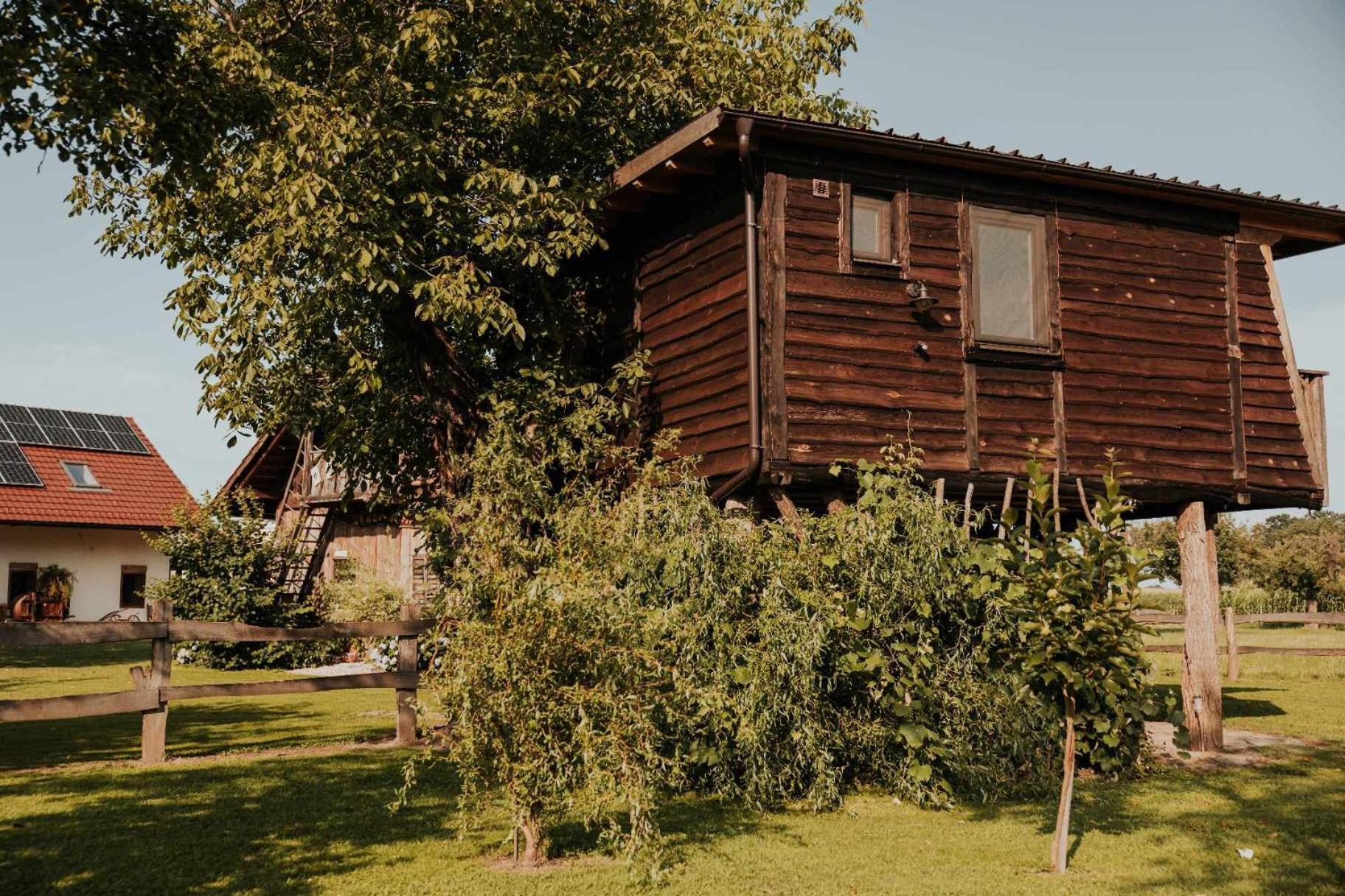 Hotel Treehouse Drevesna Hiska Strkovo Gnezdo Ranc Jures Ljutomer Exteriér fotografie