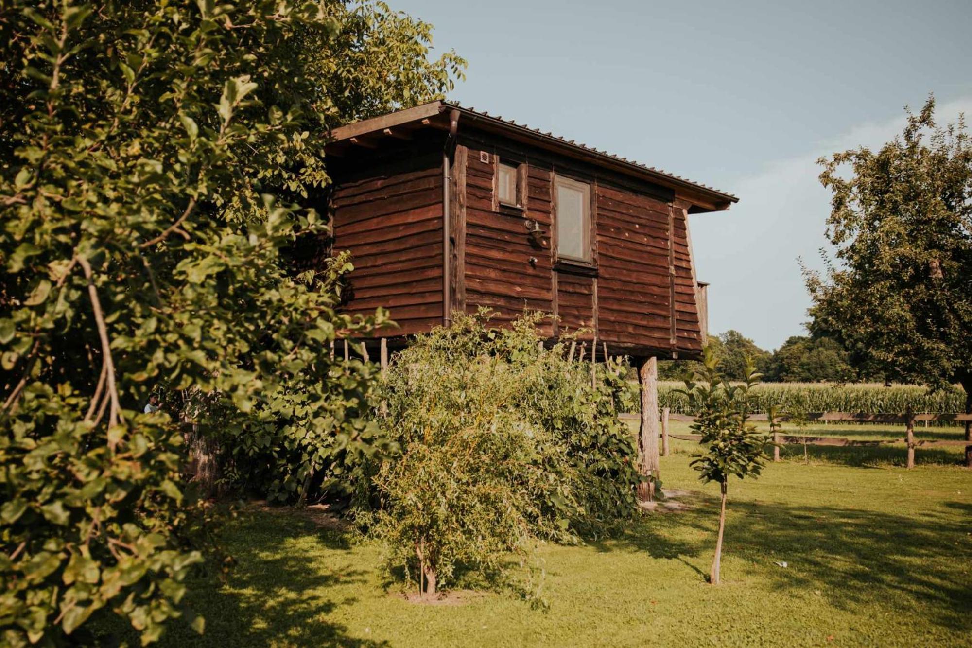 Hotel Treehouse Drevesna Hiska Strkovo Gnezdo Ranc Jures Ljutomer Exteriér fotografie